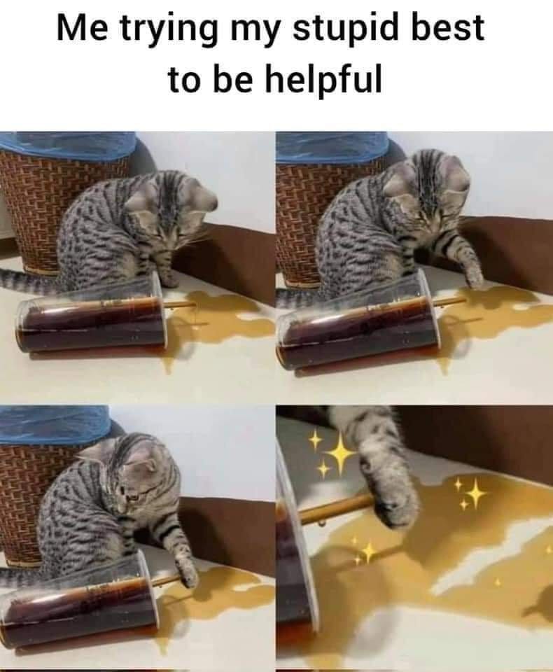 caption: me trying my stupid best to be helpful
a small cat looking curiously at a knocked-over plastic beverage cup with a straw poking out before stopping the spillage with its little paw. last frame is a close-up of the paw with emoji sparkles around it