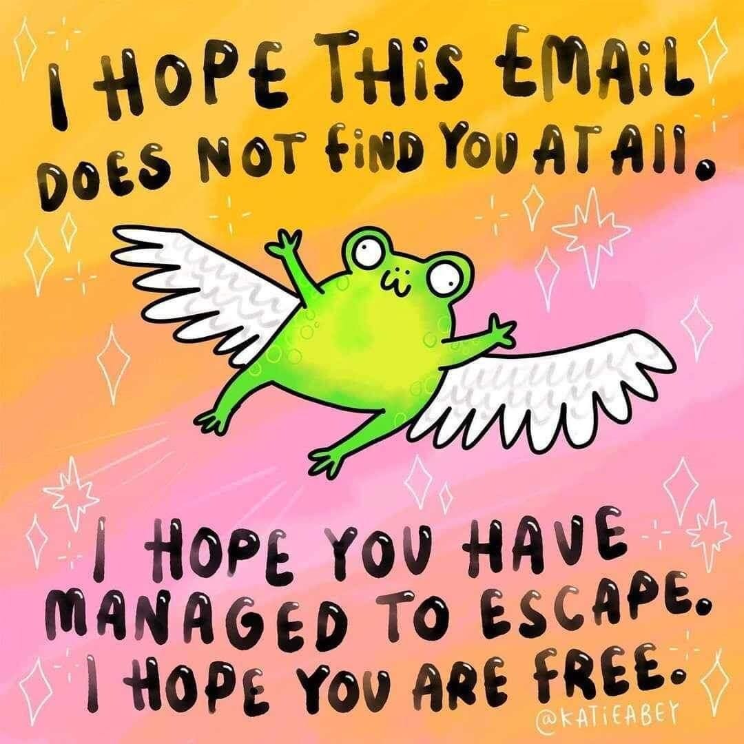 A cartoon style frog with angel wings is centered on an orange and pink background the text says
I hope this email does not find you at all. I hope you have managed to escape. I hope you are free.
Credit on the image is: KatieAbey it has an @ before it so I don't know what platform though.