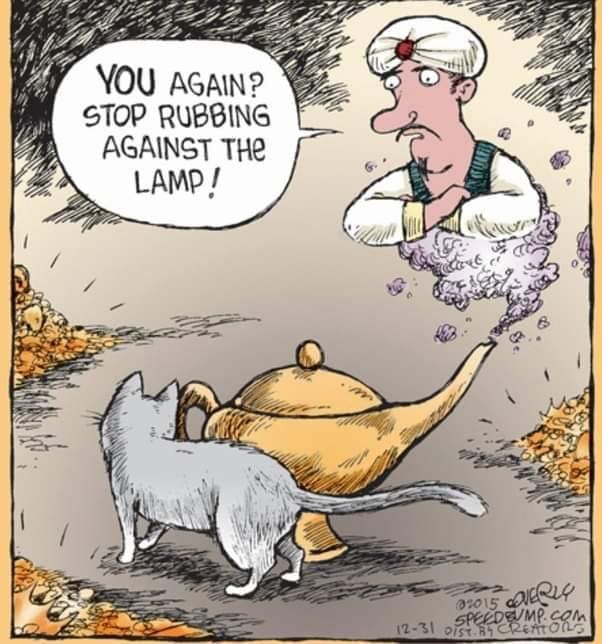 YOU AGAIN? STOP RUBBING AGAINST THE LAMP!
Cartoon of the genie of the lamp talking to a cat who is rubbing again his lamp