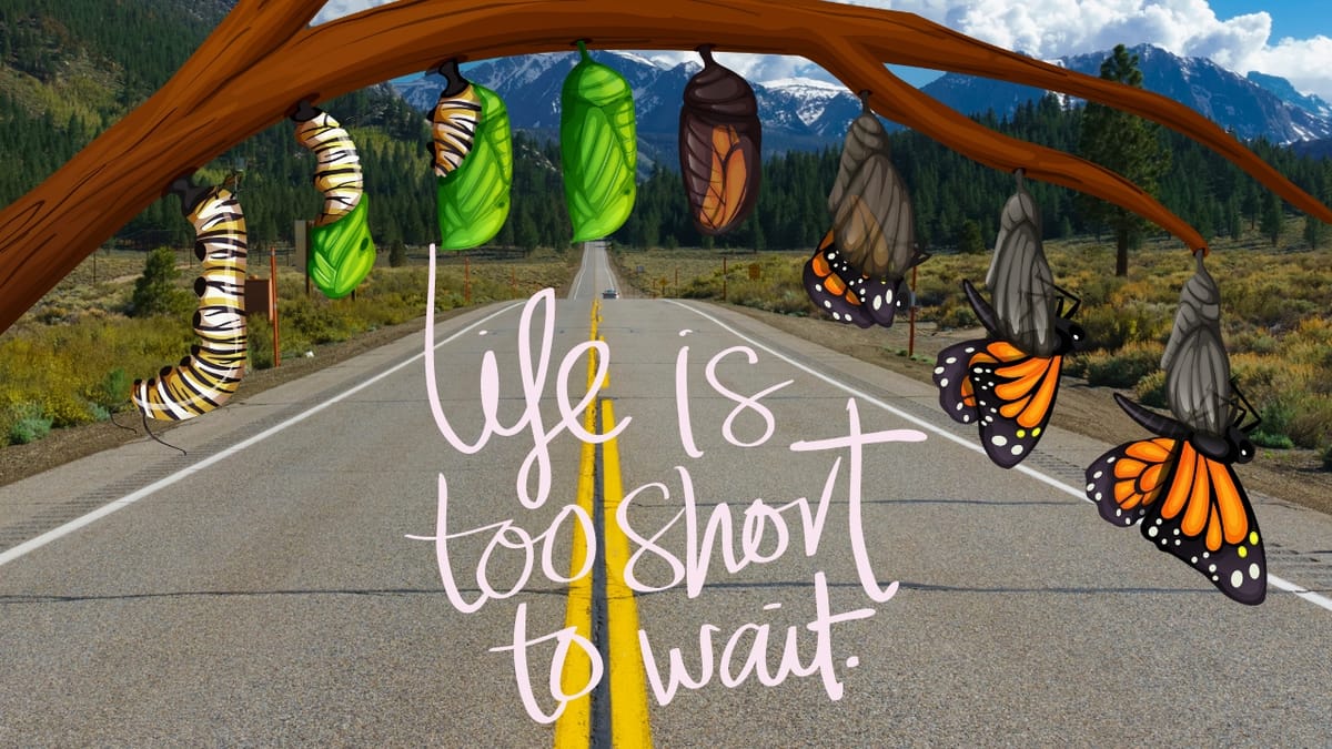 Butterflies emerging from chrysalises hanging on a branch over a road, with the text 'Life is too short to wait.'