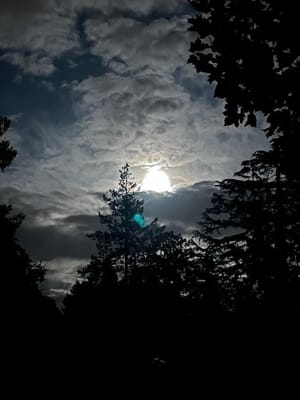 Odin's Autumn: Glory to the Fall!