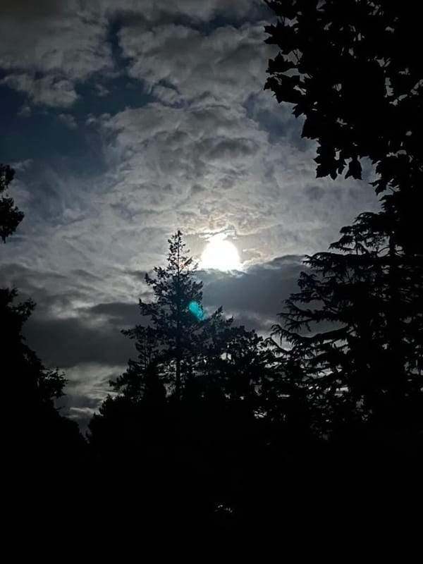 Odin's Autumn: Glory to the Fall!